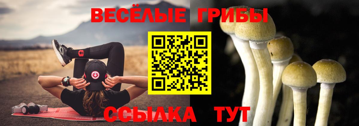 Галлюциногенные грибы Psilocybine cubensis Шатура