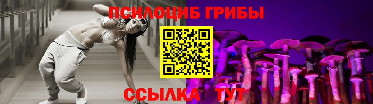 закладки  Галлюциногенные грибы ЛСД  Вход с VPN  Шатура 